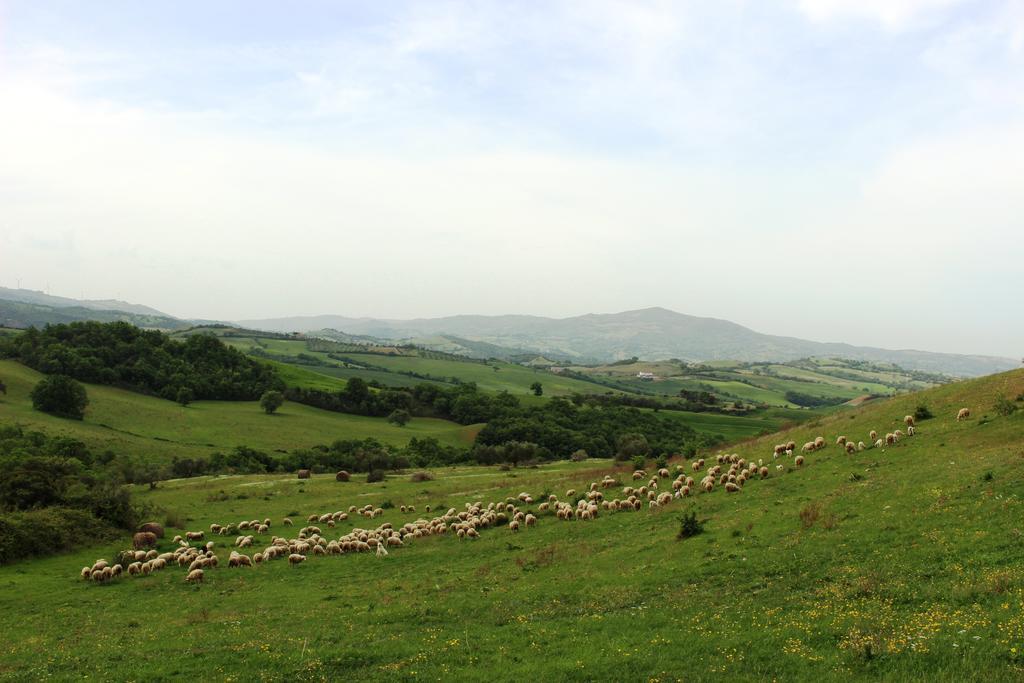 Séjour à la ferme La Rocca Delle Pigne *