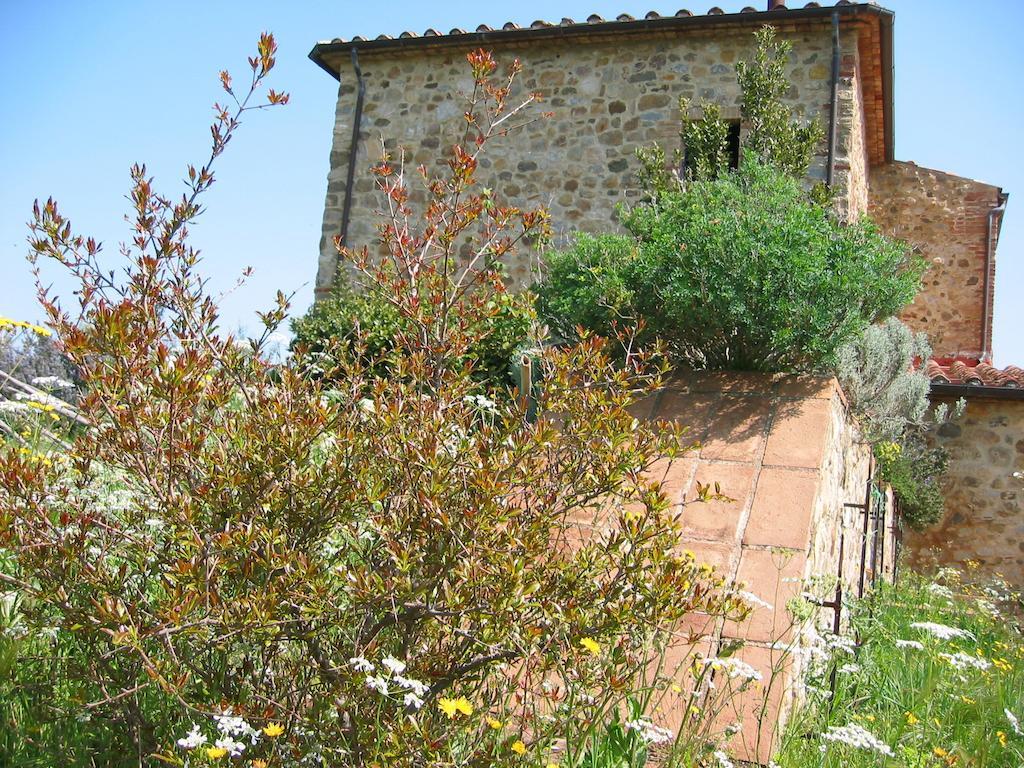 La Rocca Delle Pigne Cana